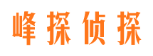 琅琊侦探公司